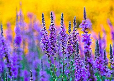 粉丝自制虚幻5《寂静岭》10分钟实机演示分享